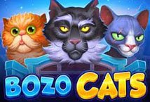 Bozo Cats Slot Review